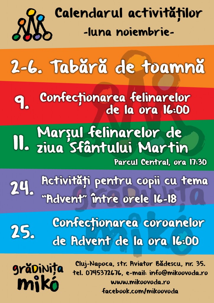 activitati noiembrie
